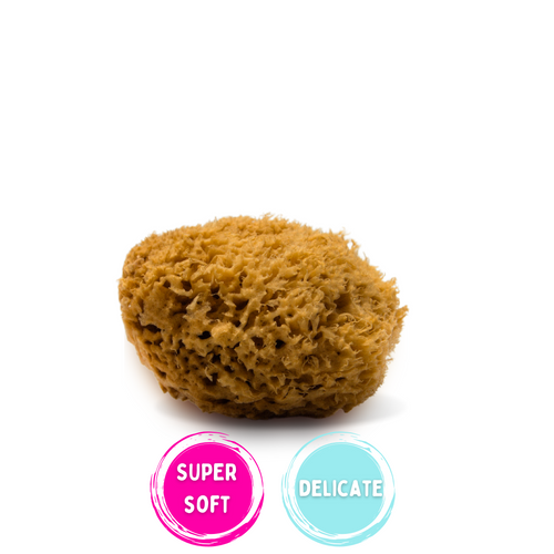 natural sea sponge