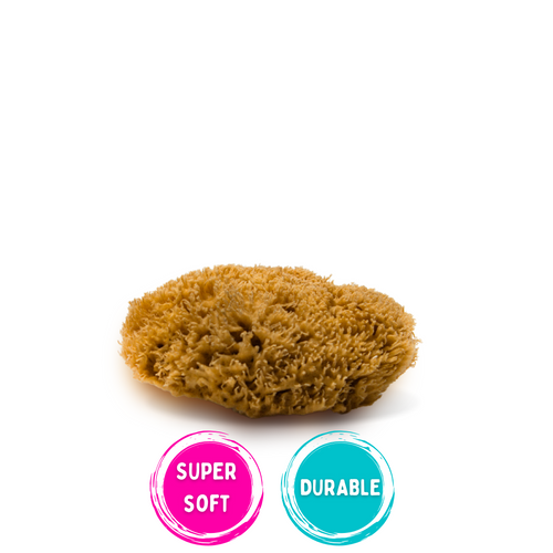 natural sea sponge