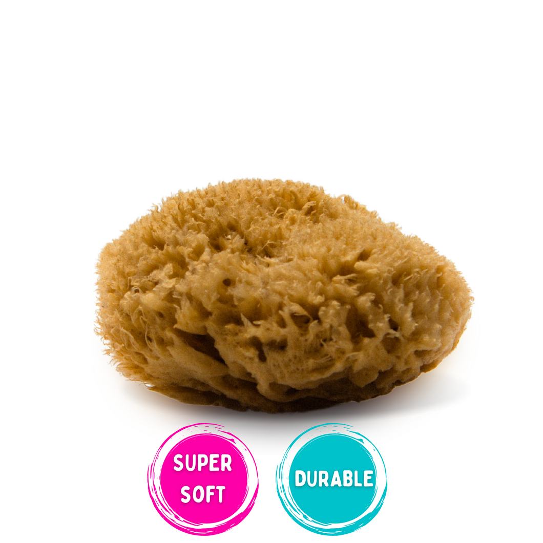 natural sea sponge