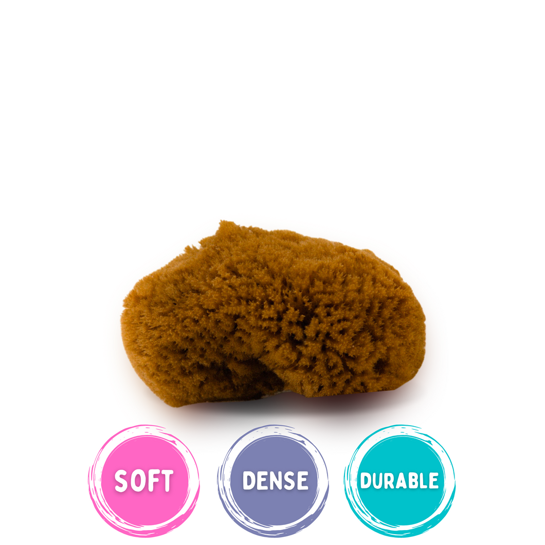 Face Sponge Small Fina 2.5 Inches