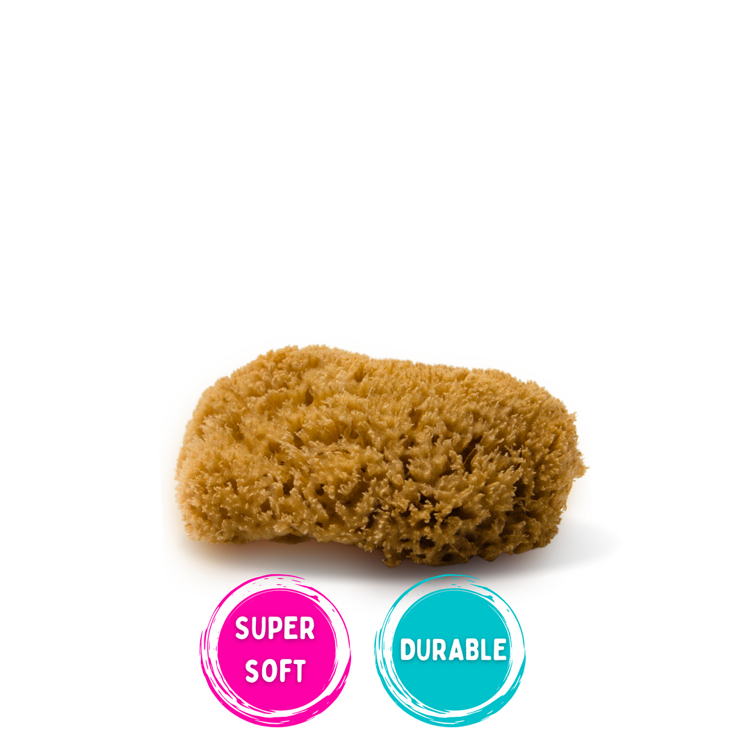 natural sea sponge