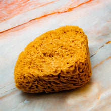 Load image into Gallery viewer, Natural Sea Sponge Far Honeycomb Raw Large 
