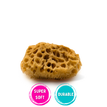 Load image into Gallery viewer, natural sea sponge
