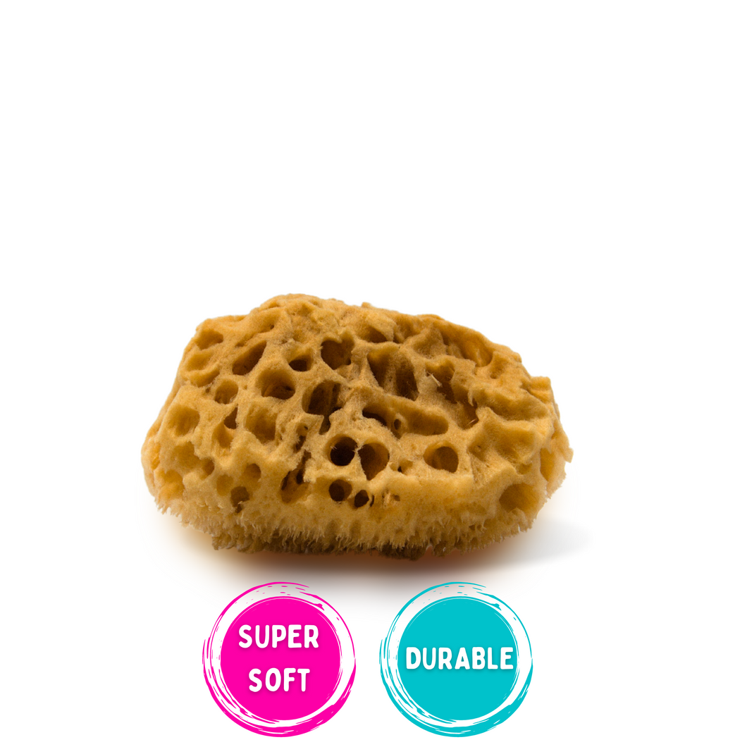 natural sea sponge