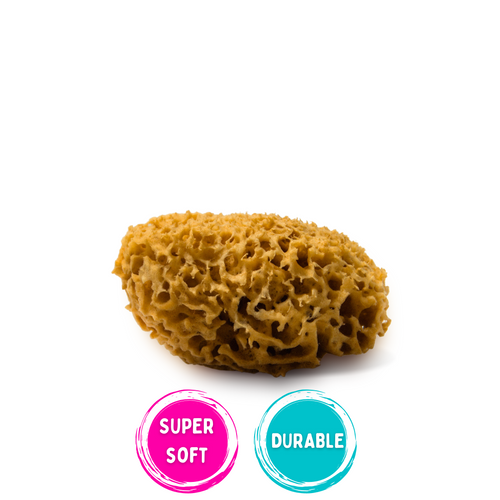 natural sea sponge