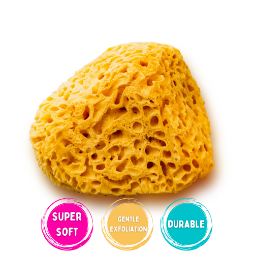 sponge for body