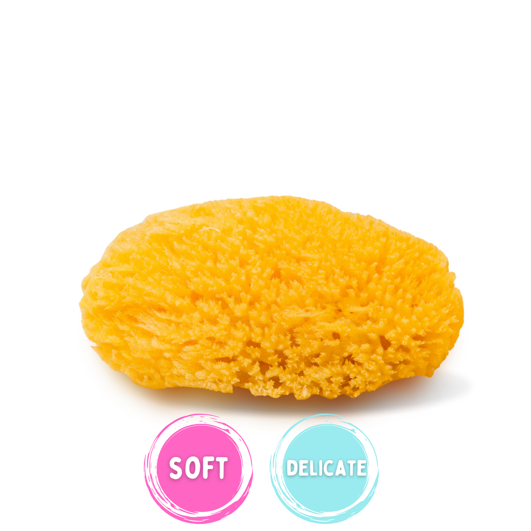 Face Sponge Medium Sea Wool 4 Inches