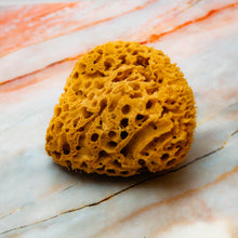 Load image into Gallery viewer, Natural Sea Sponge close Honeycomb Raw Large 
