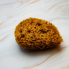 Load image into Gallery viewer, Natural Sea Sponge close Honeycomb Raw 
