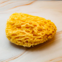 Load image into Gallery viewer, Natural Sea Sponge top Honeycomb 
