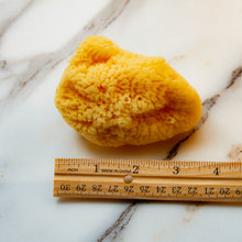 Load image into Gallery viewer, Face Sponge Small Fina 3 Inches
